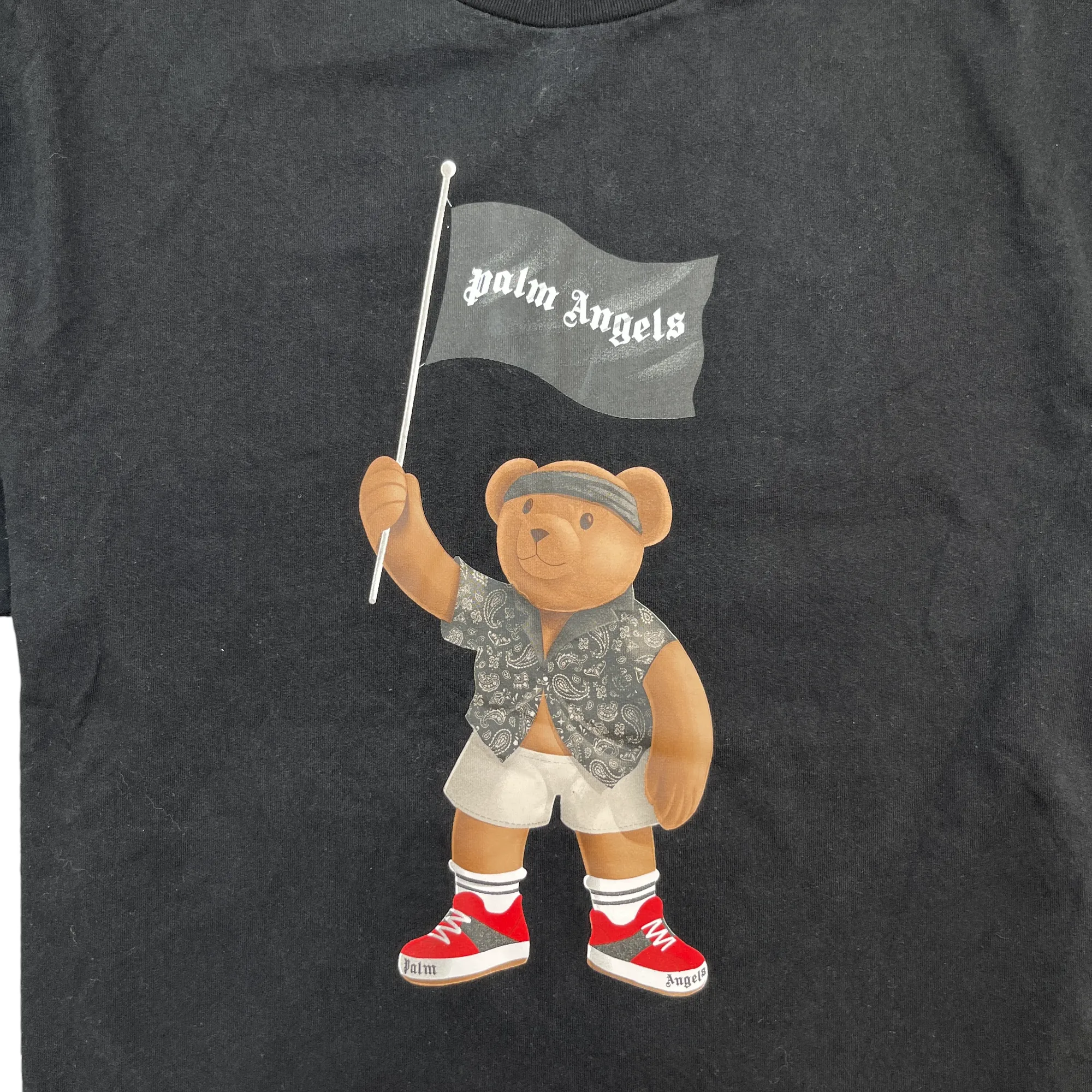 Men's Pirate Teddy T-Shirt Black Size M